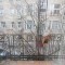 Photo #15 4-room (3 BR) apartment for <a href="http://moscow-rentals.ru/en/articles/long-term-rent" target="_blank">a long-term</a> rent
 in Russia, Moscow, Podsosenskyi lane, 14С1